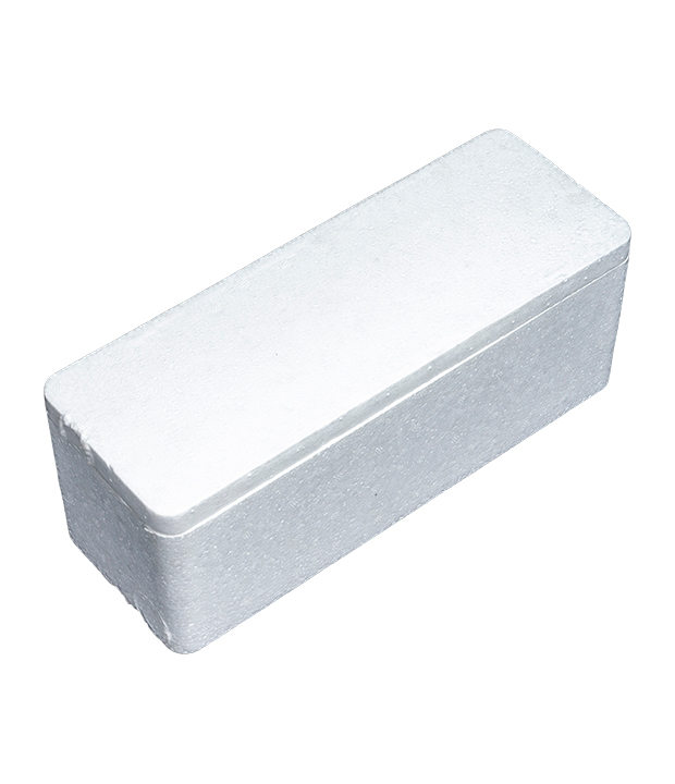 EPS Packaging Box