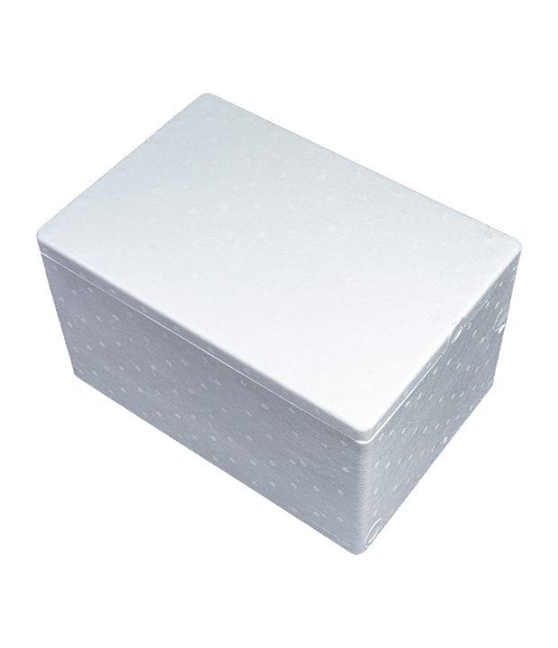 EPS Packaging Box