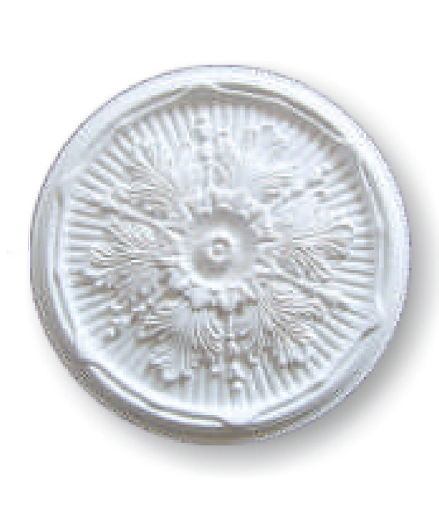 PU TECTUM Medallion BY-E1019